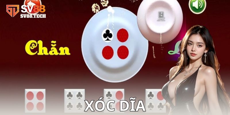 Xóc dĩa là gì?